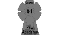 g1academy-200x120